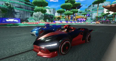 Team Sonic Racing Steam Ключ РФ+Мир +Бонус