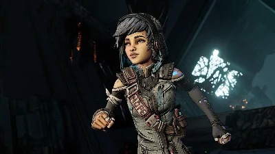 ⚫Borderlands 3 Director´s Cut Steam Ключ РФ+СНГ +Бонус