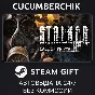 S.T.A.L.K.E.R.: Bundle✅STEAM GIFT AUTO✅UKR/KZ/CIS