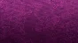 ✅❤️SNOWRUNNER – YEAR 5 PASS❤️XBOX ONE|XS🔑KEY✅