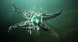 Destiny 2 Witch Queen XBOX ONE SERIES S|X Key