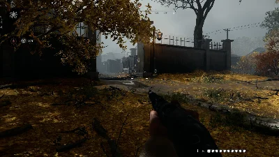 Phoenix HUNT (X-Ray)