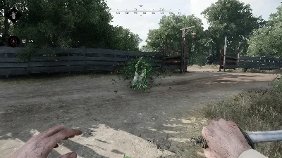 Phoenix HUNT (X-Ray)