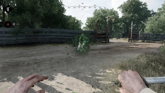 Phoenix HUNT (X-Ray)