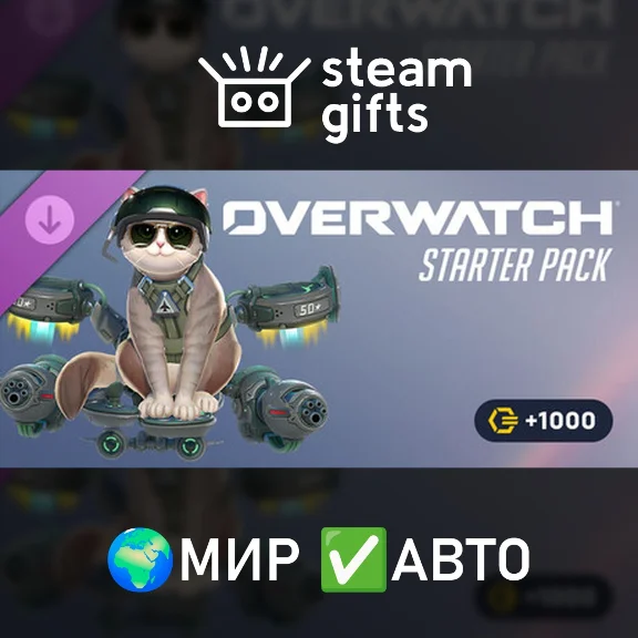 DLC Overwatch Starter Pack 2026: Season 1 МИР АВТО
