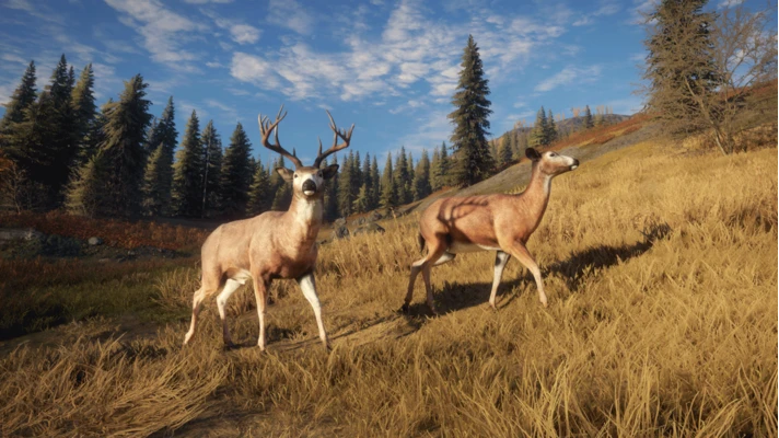 theHunter: Call of the Wild🔑STEAM КЛЮЧ🔥РОССИЯ+МИР