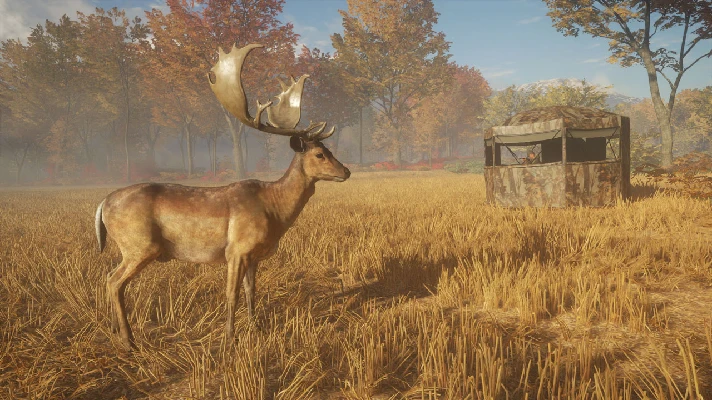 theHunter Call of the Wild - Tents Ground Blinds (DLC)