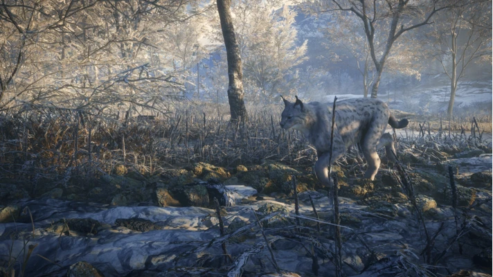 TheHunter Call of the Wild - Medved-Taiga (DLC) 🔑STEAM