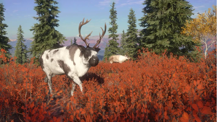 theHunter Call of the Wild - Yukon Valley (DLC) 🔑STEAM