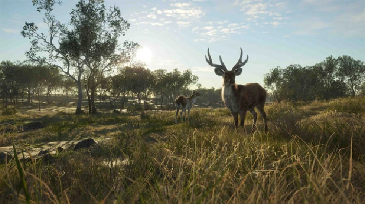 ⚡theHunter: Call of the Wild™ - Emerald Coast Australia