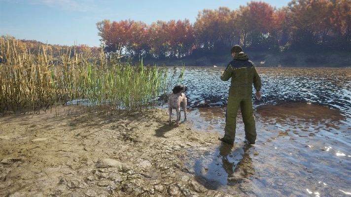 theHunter: Call of the Wild™ - German Shorthaired Point