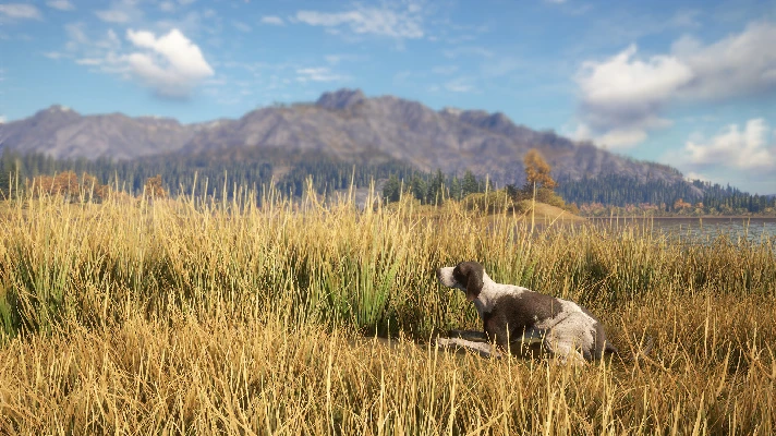 theHunter: Call of the Wild™ - German Shorthaired Point