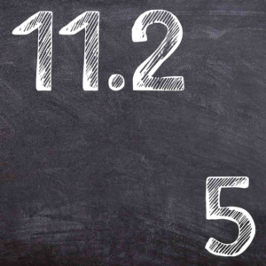 IDZ Ryabushko 11.2 Variant 5