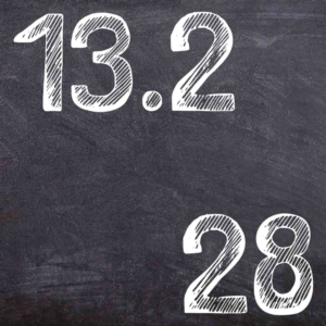 IDZ Ryabushko 13.2 Variant 28