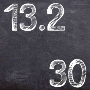 IDZ Ryabushko 13.2 Variant 30