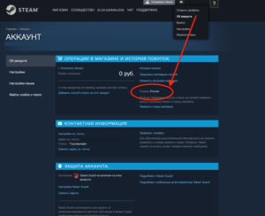 ⭐️All REGIONS⭐️ Assassin´s Creed Valhalla STEAM Gift 🟢