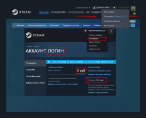 ✅ TOP-UP STEAM BALANCE AUTOMATICALLY 24/7 RU UA KZ + 🎁