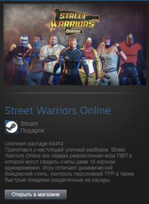 Street Warriors Online (Steam Gift Region Free / ROW)