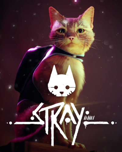 Stray