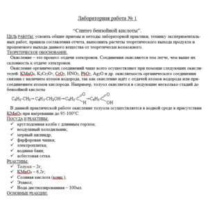 Лабораторная работа №1