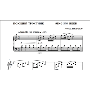 1с05 Поющий тростник, ПАВЕЛ ЗАХАРОВ / фортепиано