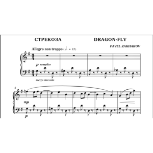 3с11 Стрекоза, ПАВЕЛ ЗАХАРОВ / фортепиано