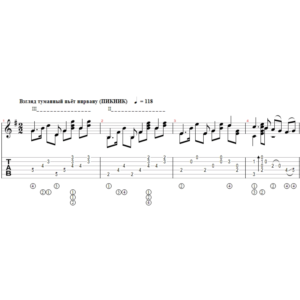 Взгляд туманный пьёт нирвану (ПИКНИК) - переложение для