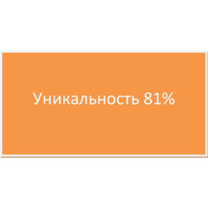 Диплом Проект торгового формата дискаунтер 81% уникальн