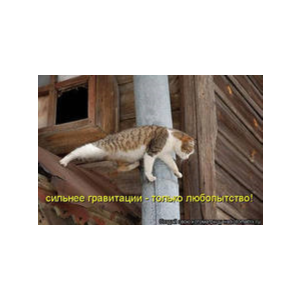 Диплом Управление доходностью предприятия