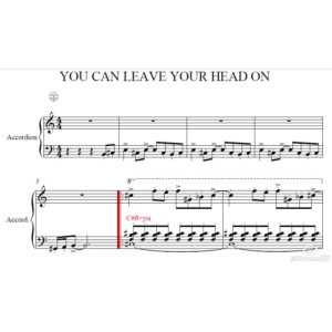 You Can Leave You Head on (аккордеон)