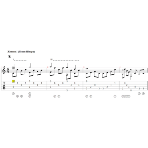 Женюсь (И. Шварц) - переложение для гитары