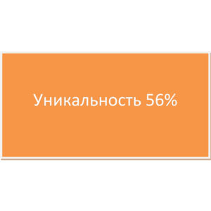 Курсовая Совершенствование оплаты труда 56,98% уникаль