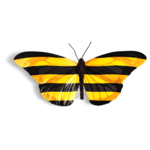 Онлайн пополнение БИЛАЙН Россия от 10 до 3000 руб