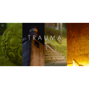 Trauma (Steam Key / Region Free)