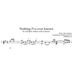 Nothing I´ve ever known-ноты и табы для гитары