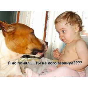 Курсовая Освещение криминальной хроники на ТВ