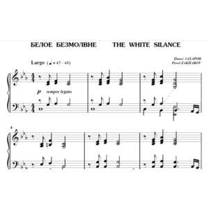 5с11 Белое безмолвие, ПАВЕЛ ЗАХАРОВ / фортепиано