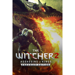 Witcher 2: Assassins of Kings (Steam Gift RU/CIS)