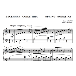 6с04 Весенняя сонатина, ПАВЕЛ ЗАХАРОВ / фортепиано