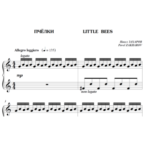 6с06 Пчёлки, ПАВЕЛ ЗАХАРОВ / фортепиано