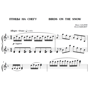 6с14 Птицы на снегу, ПАВЕЛ ЗАХАРОВ / фортепиано