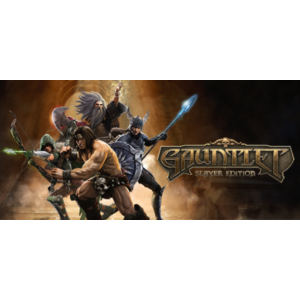 Gauntlet Slayer Edition - 4 Pack (Steam Gift RU+CIS)