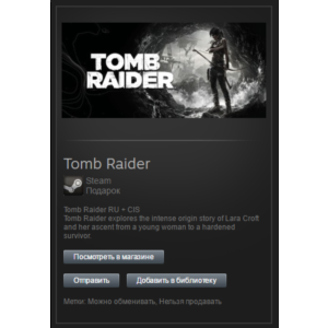 Tomb Raider 2013 (Steam, Tradable Gift, ROW)