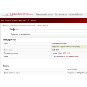 Бухгалтерские информационные системы ч. 1 Реферат Витте