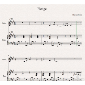 Pledge  Marcus Meier piano cover
