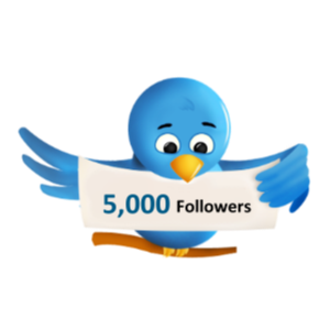 Twitter читатели 5000 Дешево Бесплатно Твиттер подписки