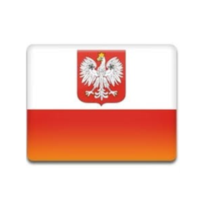 Промокод (купон) Google AdWords (Ads) 1200 PLN. Польша.