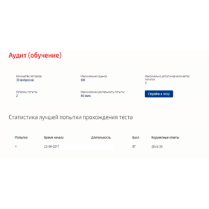 Аудит.Тест Синергия