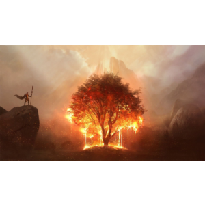 Ashes of Creation НАБОРЫ Скидки БЫСТРАЯ ДОСТАВКА