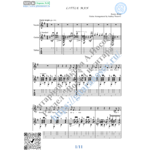 Little Man (Вокал Гитара Ноты Табы)